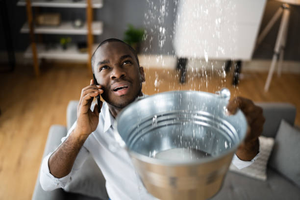 Best Fire Damage Restoration  in Jacksonville, FL