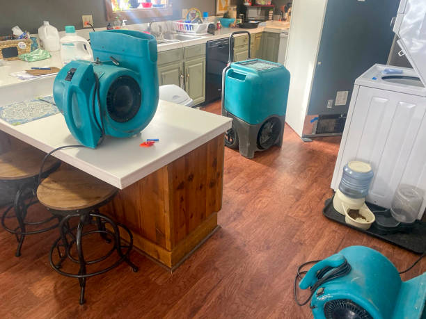 Trusted Jacksonville, FL Water damage restoration Experts
