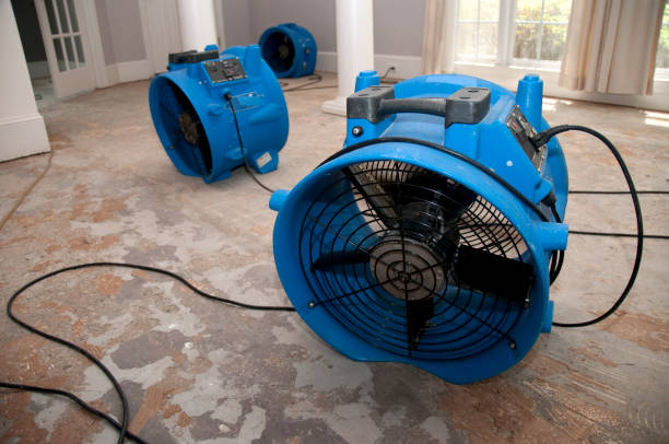 Best 24/7 water damage repair  in Jacksonville, FL